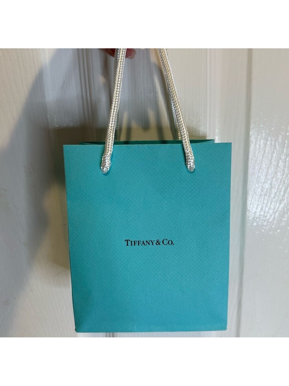 TIFFANY & CO ELSA PERETTI BEAN PENDANT DUST BAG, BOX AND GIFT BAG - Picture 12 of 16